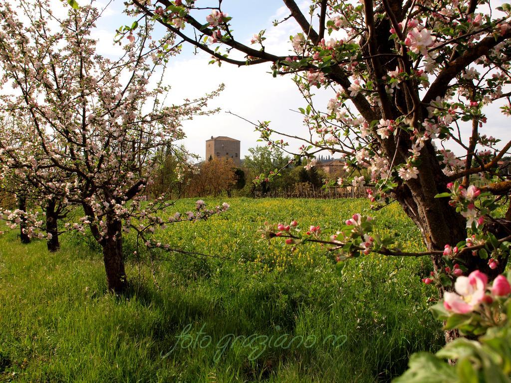 Agriturismo La Roverella Monteroni dʼArbia Exterior foto