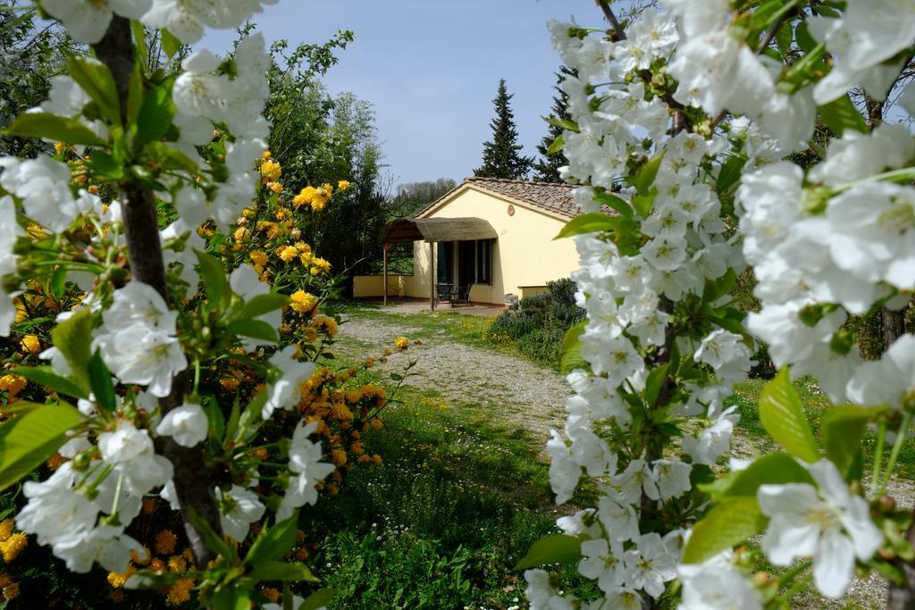 Agriturismo La Roverella Monteroni dʼArbia Exterior foto